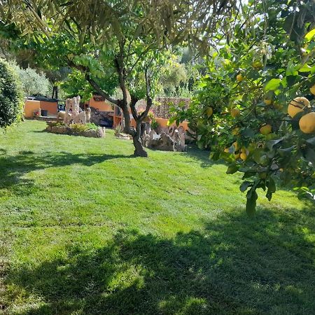 B&B Da Sabrina San Teodoro  Esterno foto