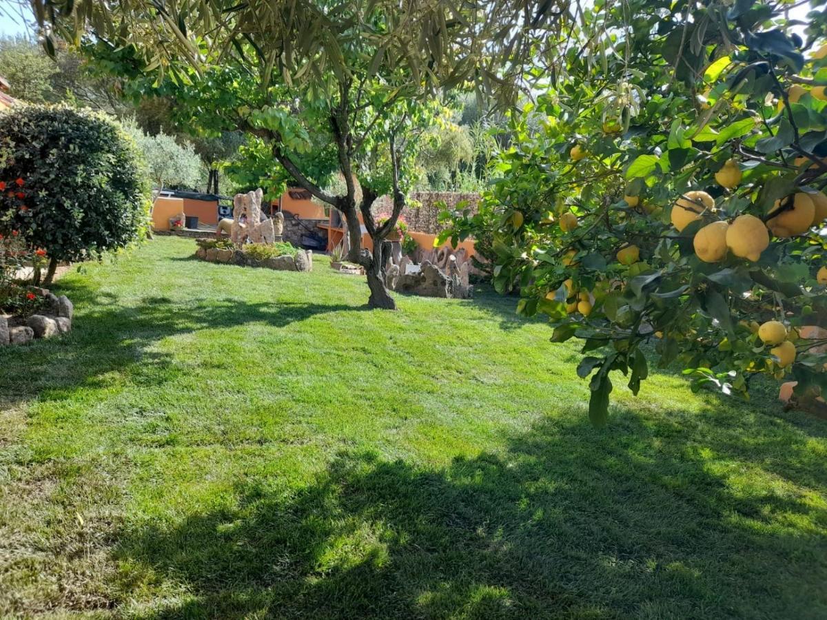 B&B Da Sabrina San Teodoro  Esterno foto